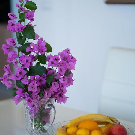 Antonio Apartment 2 Ровинь Экстерьер фото